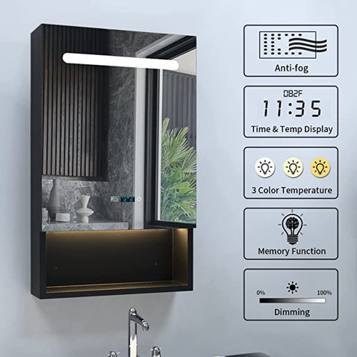 Ivy Bronx Chassitty 19.6'' W 31.5'' H Surface Frameless Medicine